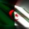 الخروج من الوطن لا يعني الانقطاع عنه